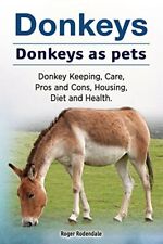Donkeys. donkeys pets. for sale  ROSSENDALE