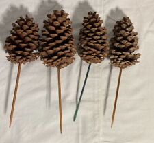 Pine cones floral for sale  Chicago