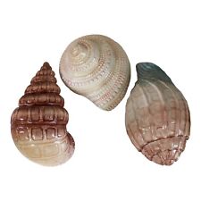 Ceramic seashell decor for sale  Powder Springs