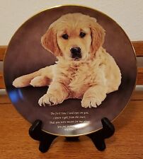 Golden retriever plate for sale  Yelm