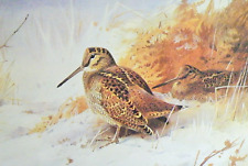 Winter woodcock. vintage for sale  NELSON