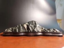 China Pedras naturais de montanha Bonsai Suiseki nove dragões pedra de parede 042501 comprar usado  Enviando para Brazil
