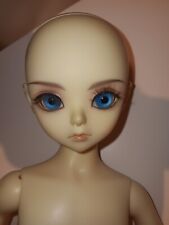 Bjd legit lutz for sale  New York