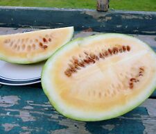 Sweet siberian watermelon for sale  Shipping to Ireland