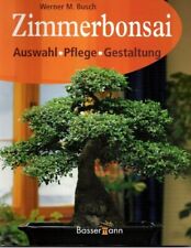 Bonsai zimmerbonsai auswahl gebraucht kaufen  Knielingen