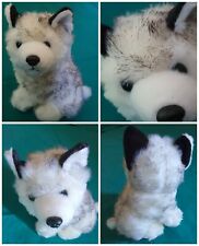 Peluche cane husky usato  Capannori