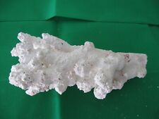 Natural dead coral for sale  Irmo