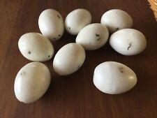 Vintage Wooden dummy broody duck/goose eggs x 9 for sale  BURY ST. EDMUNDS
