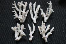 Lot branches corail d'occasion  France
