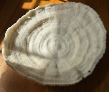 Vtg dried natural for sale  Somerville