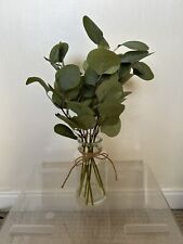 Wedding eucalyptus plant for sale  SUTTON COLDFIELD