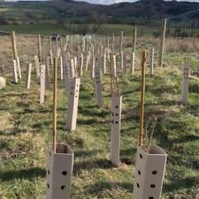 Biodegradable tree guards for sale  Shipping to Ireland