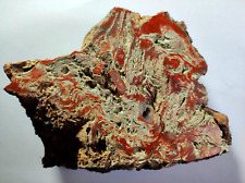 Stromatolith präkambrium edia gebraucht kaufen  Eisenach