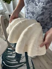 concha de amêijoa gigante tridacna gigas natural 16 libras, usado comprar usado  Enviando para Brazil