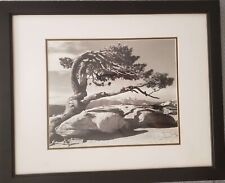 Ansel adams photograph for sale  Chicago