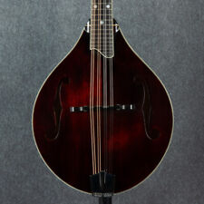 Eastman md505 mandolin for sale  SHEFFIELD