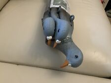 Sport plast pigeon for sale  HUNTINGDON