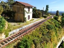 Plastico diorama ferroviario usato  Volterra