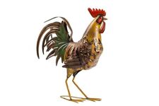 Gallo ferro variopinto usato  Italia