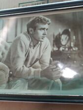 Vintage james dean for sale  Sunland