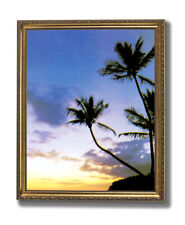 Hawaiian ocean beach for sale  Springdale