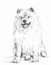 Chow chow custom for sale  Tampa