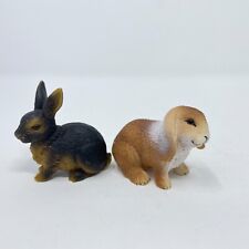 rabbit mini lop bunnies for sale  Rougemont