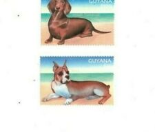 Guyana 2001 dog for sale  Brooklyn