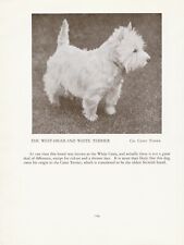 WESTIE WEST HIGHLAND WHITE TERRIER OLD VINTAGE 1934 NAMED DOG PRINT PAGE , usato usato  Spedire a Italy