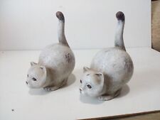 Cats two stone for sale  SHREWSBURY