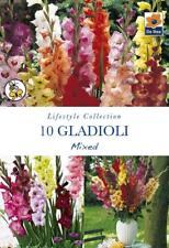 Gladioli mixed summer for sale  UK