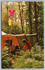 Cartão postal Walt Disney World Fort Wilderness acampamento Orlando FL 0111-0074 comprar usado  Enviando para Brazil