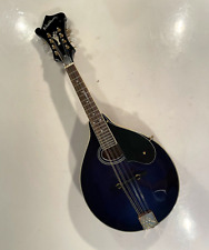 Washburn mandolin case for sale  Odessa