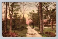 Pinebluff NC-North Carolina A Woodland Road Antique Vintage c1922 Postcard for sale  Shipping to South Africa