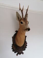 stags head for sale  WORTHING