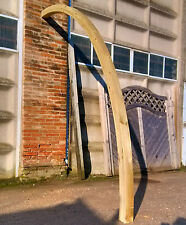Arco legno lamellare usato  Padova