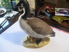 Canidian goose gander for sale  Fort Collins