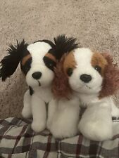 Two cavalier king for sale  Knoxville