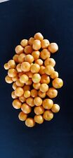Samen kumquat miniorange gebraucht kaufen  Mömbris