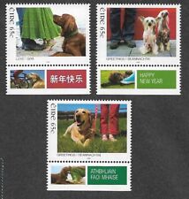 Ireland dogs chinese for sale  Shipping to Ireland