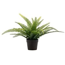 Luckygreenery artificial bosto for sale  Lincoln