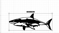 Great white shark for sale  Jamestown