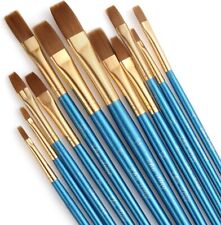 Paint brushes 12pcs for sale  LEICESTER