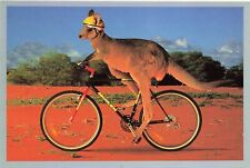 Humanized kangaroo riding for sale  Bella Vista