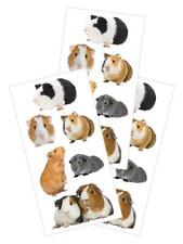Guinea pigs stickers for sale  Merrimac