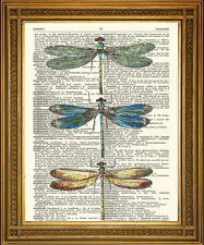 Dragonfly art vintage for sale  SUTTON