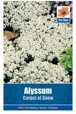 Packet alyssum carpet for sale  UK