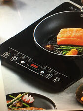 portable electric induction hob for sale  BURY ST. EDMUNDS