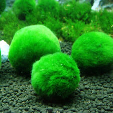 Artificial marimo moss for sale  Shipping to Ireland