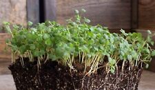 Microgreen seeds multi for sale  Gurnee